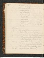 Seite 74, Tagebuch "Palästina (Tagebuch)" (NHMW-PRAE-BBB-80)